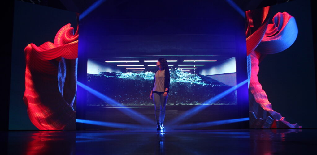 emmegi-sviluppo contenuti (1)